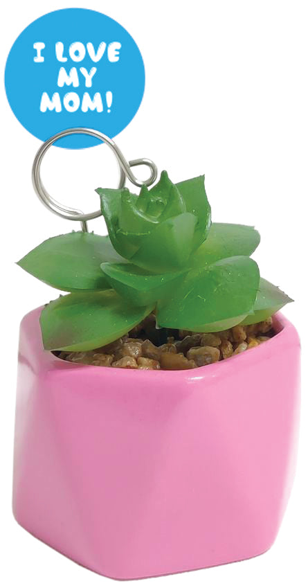 Mom Mini Succulent